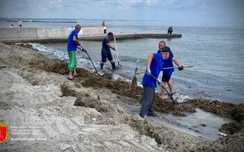 ��������� ������ �� ��� ��� ������� � ������