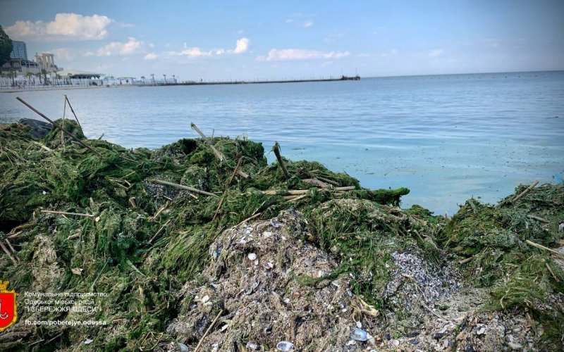 ��������� ������ �� ��� ��� ������� � ������