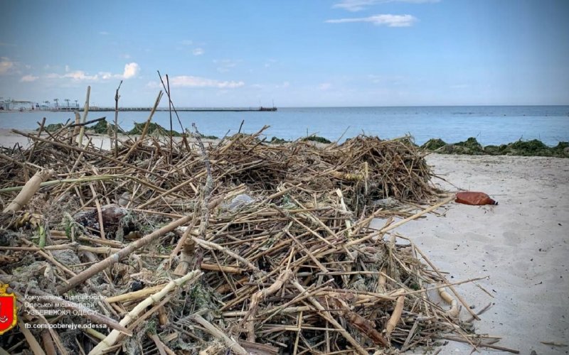 ��������� ������ �� ��� ��� ������� � ������