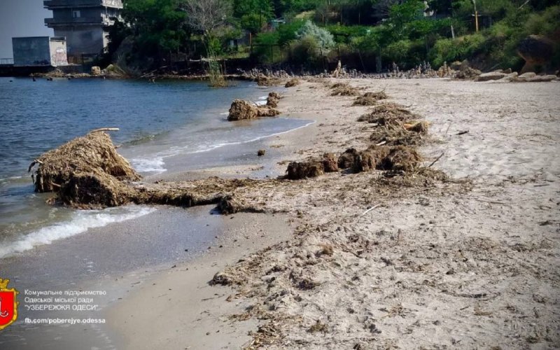 ��������� ������ �� ��� ��� ������� � ������