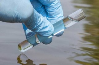 ��������� ������� � �������� ���� � ������ �� 19 ����