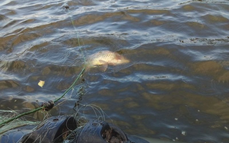 � �������� ������� ������� ���� �� ������� ������������� �����