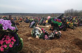 � ������ ��������� �������� �������� �� �������� ����� �� 16 ���