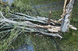 ����� �������� ����������� �������� �� ������������� ������� ����������