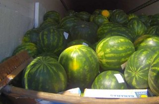 �� �������� ������ ������ ������� ������ � ����