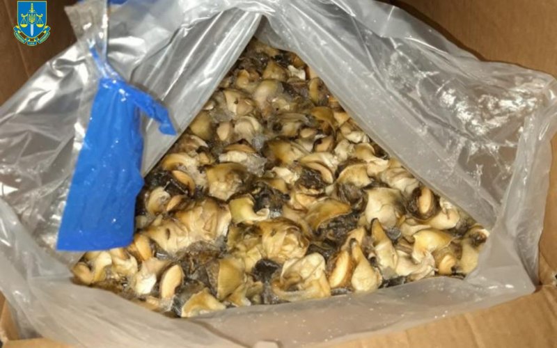 � �������� ������� ��������� �������� 132 ����� ������� � ����� 4 ����� ��������