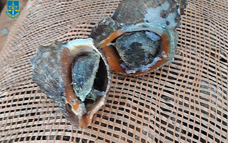 � �������� ������� ��������� �������� 132 ����� ������� � ����� 4 ����� ��������