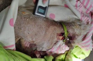 � ������ ������� ����� ������� ������� ������ �� ������ � �����